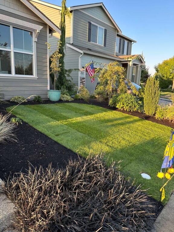 sod new4 Hardscape and Fence Services by Brownstone L&H