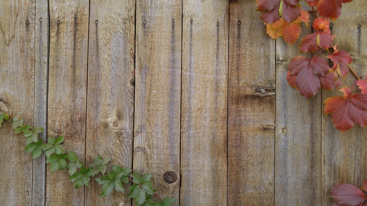 whatcom-county-cedar-fence-bellingham-02