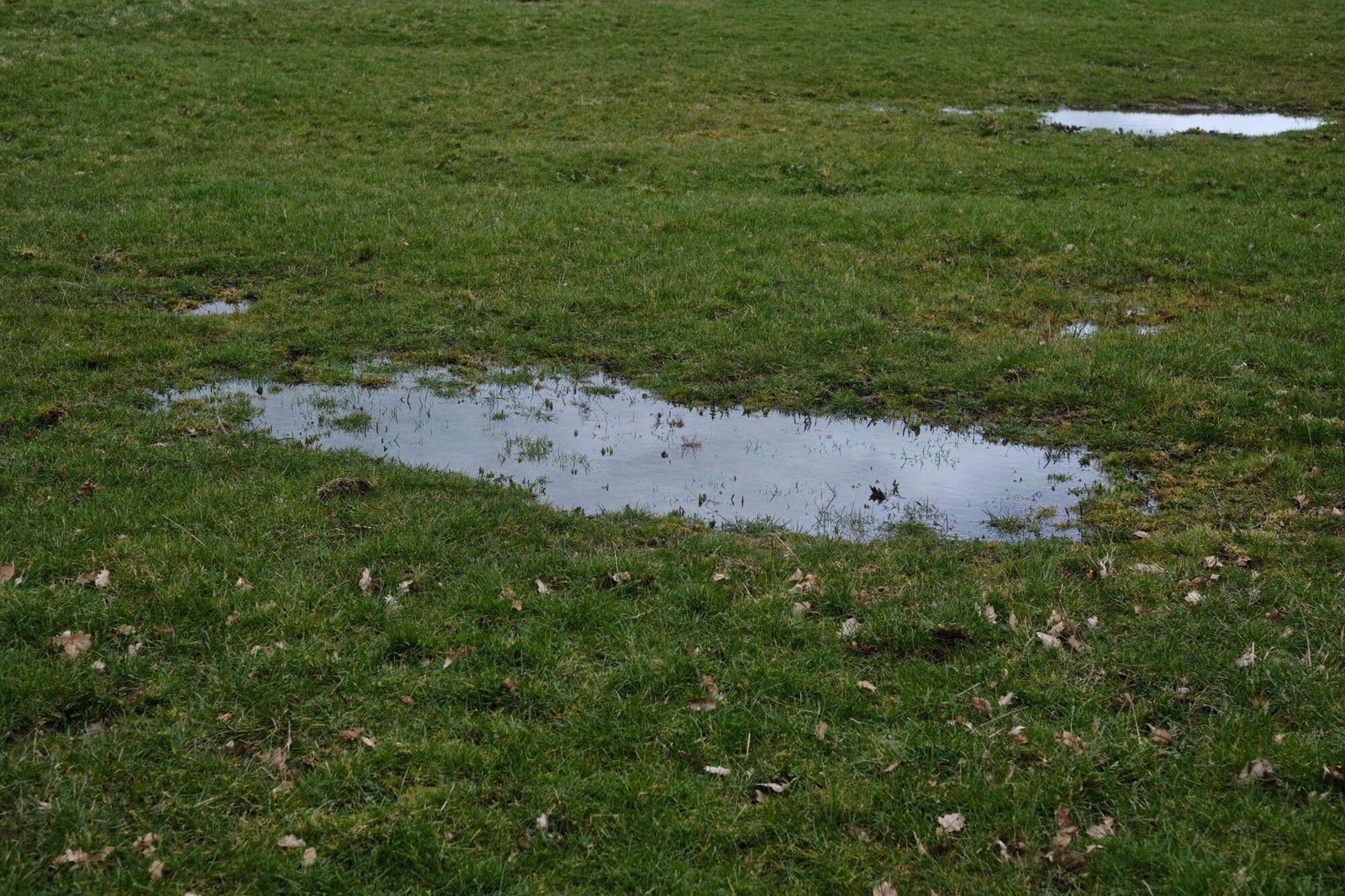 whatcom-county-water-pooling-yard-