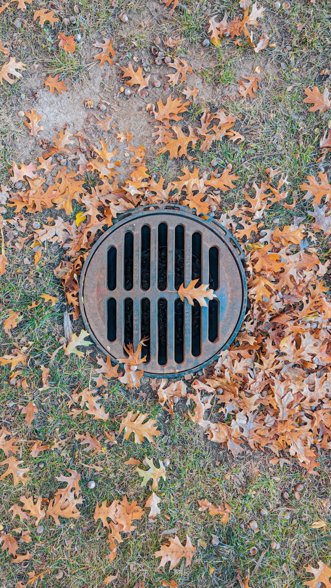 Top-down view of a round metal drain with autumn leaves scattered across grass.