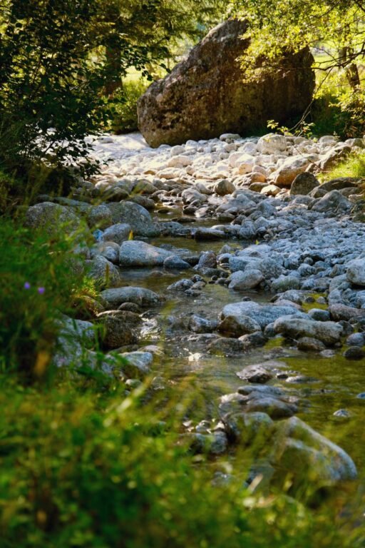 dry creek bed - whatcom county