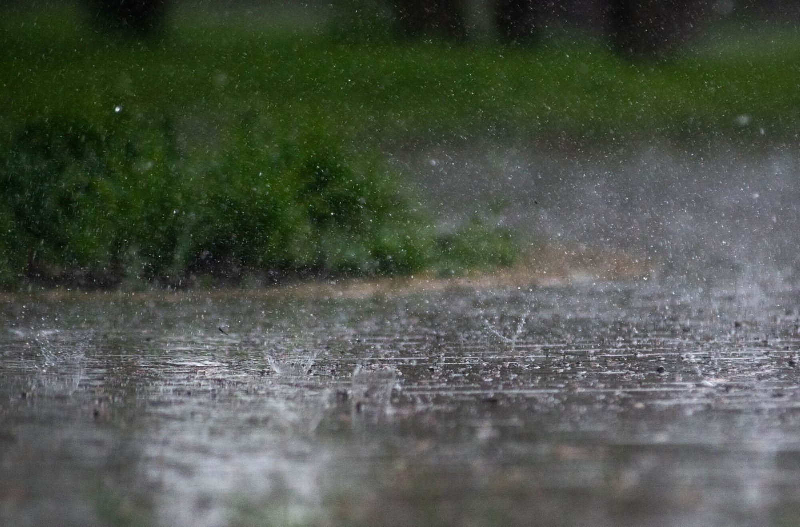 skagit-county-rain
