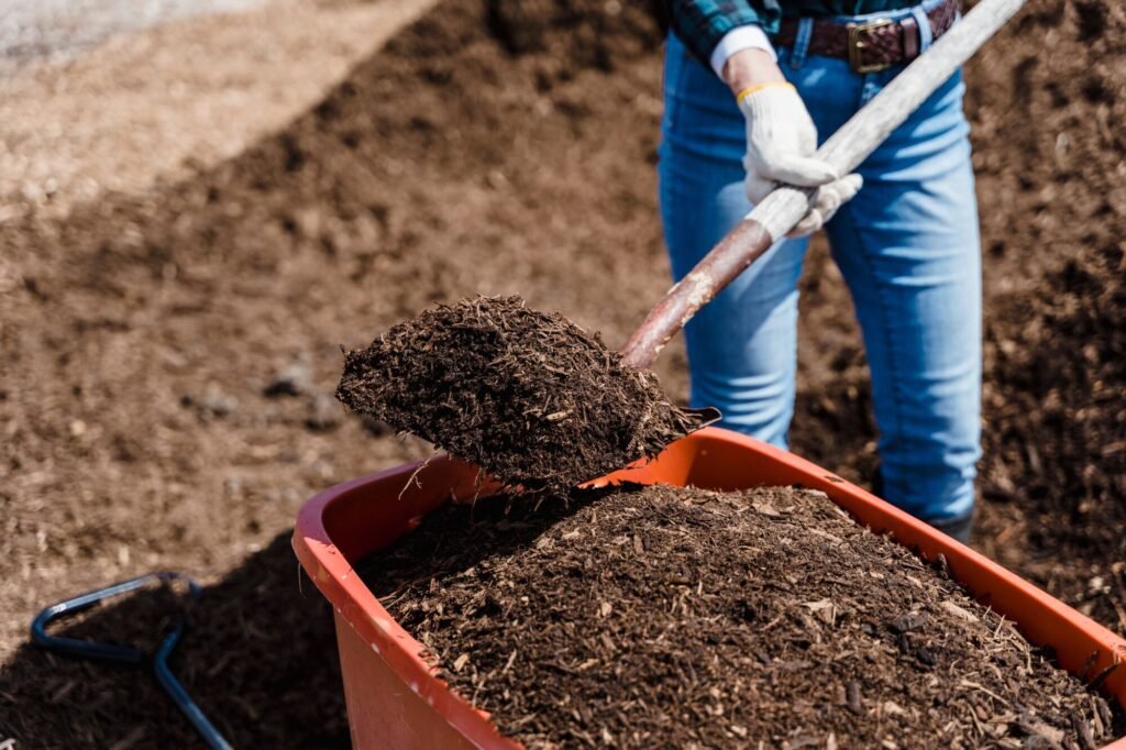 pexels-photo-7728736-7728736-1 A person shovels compost into a red container, preparing soil for gardening.