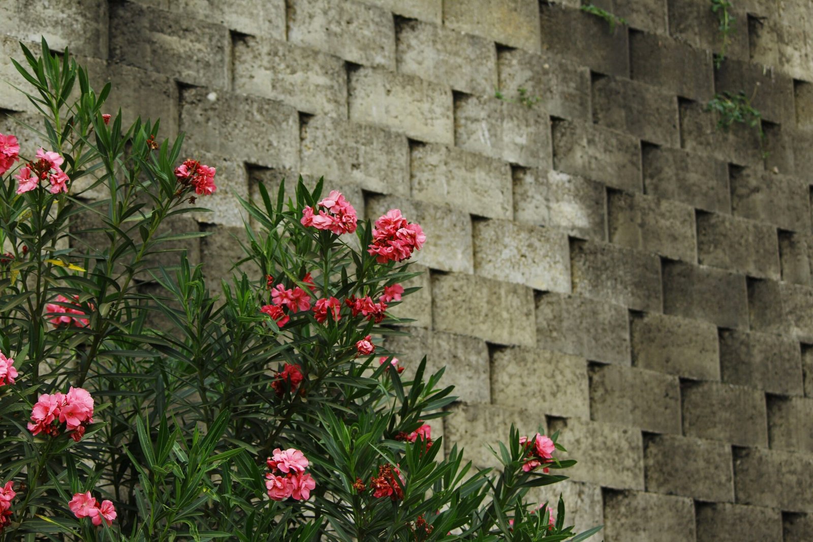 retaining-wall-skagit-county