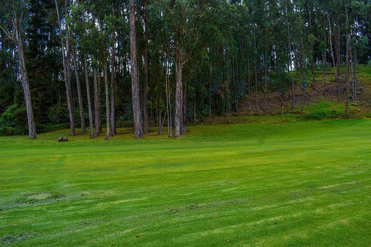 skagit-green-lawn-