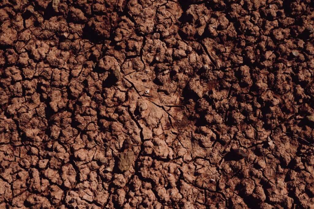 A close-up of cracked, dry soil illustrating drought conditions and environmental impact.